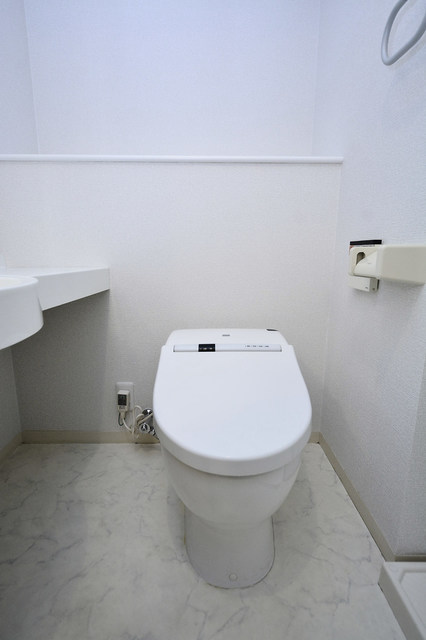トイレ　※別部屋参考写真