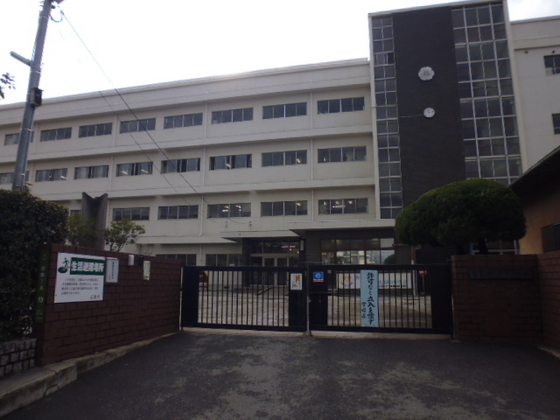 小学校　広島市立翠町小学校（小学校）まで383m