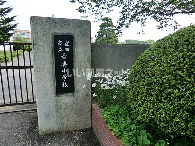 小学校　成田市立吾妻小学校（小学校）まで607m