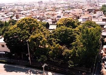 幼稚園・保育園　常光寺幼稚園（幼稚園・保育園）まで274m