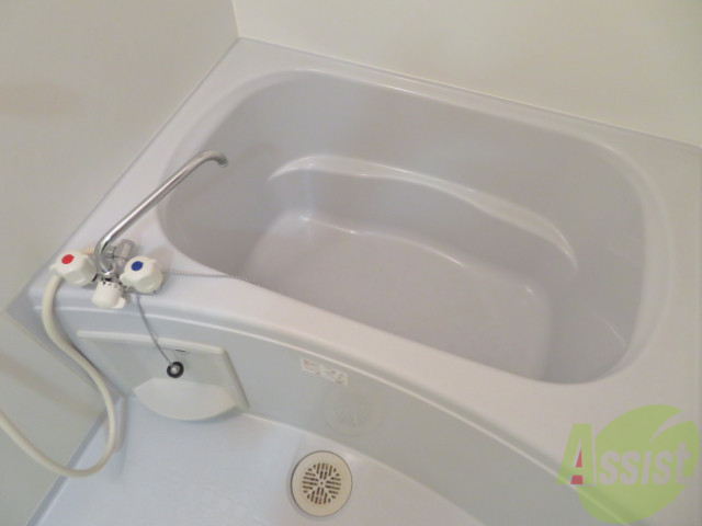 バス・シャワールーム　浴室はゆったりと浸かれるサイズ感になっていますね。