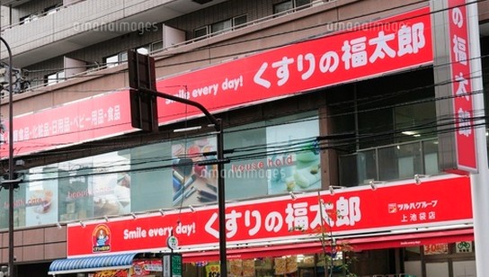 ドラックストア　くすりの福太郎上池袋店（ドラッグストア）まで498m