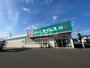 ドラックストア　ドラッグセイムス岩沼館下店（ドラッグストア）まで429m