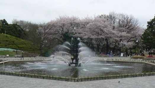 公園　世田谷公園（公園）まで1240m