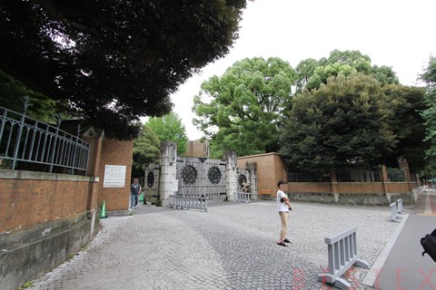大学・短大　国立東京大学農学部（大学・短大）まで1141m