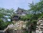 その他　浜松城（その他）まで1044m
