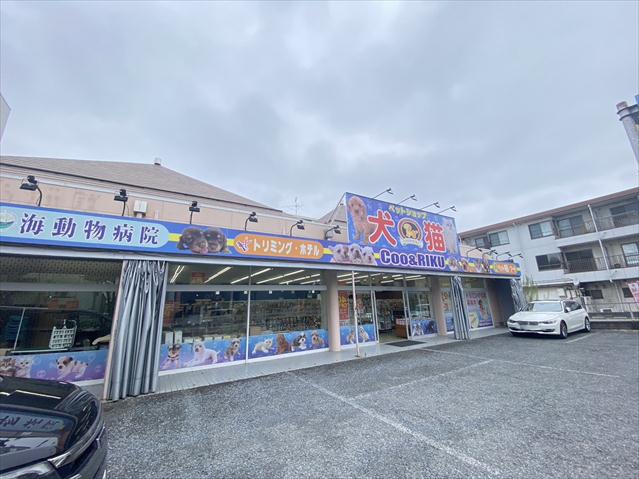 その他　ペットショップCoo&RIKU 川口戸塚店（その他）まで209m