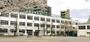 小学校　平塚小学校（小学校）まで310m