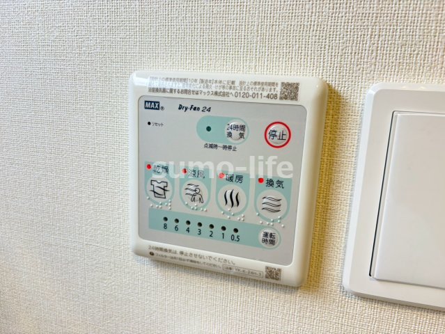 プラシッド ピュールのその他写真