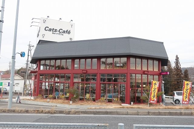 飲食店　キャッツカフェ（飲食店）まで200m