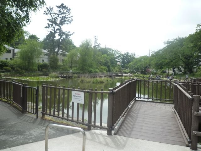 公園　★★白旗池公園（公園）まで1003m