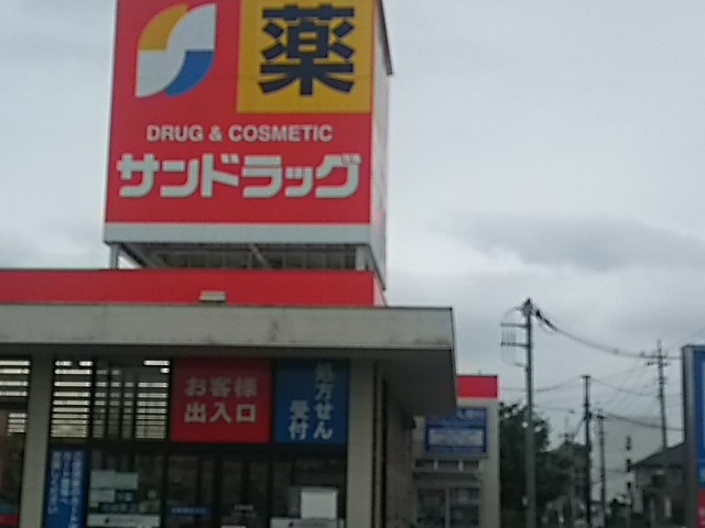 ドラックストア　サンドラッグ浦和花月店（ドラッグストア）まで1014m
