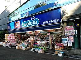 ドラックストア　ウエルシア板橋下板橋店（ドラッグストア）まで172m