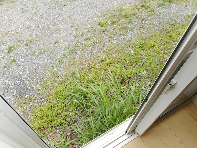 バルコニー　※他号室の参考写真となります。