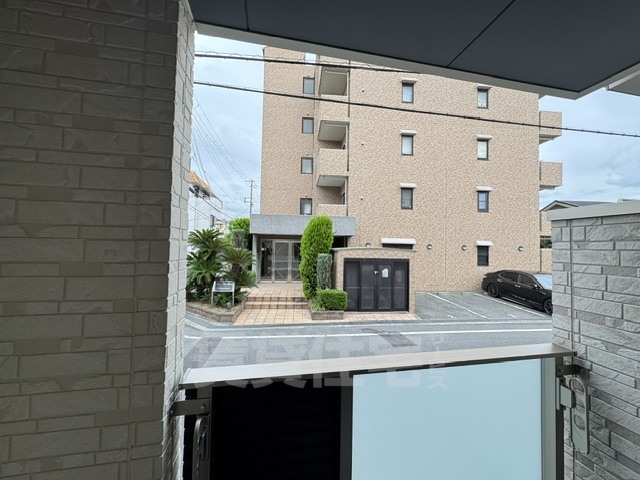 F asecia copperのその他写真
