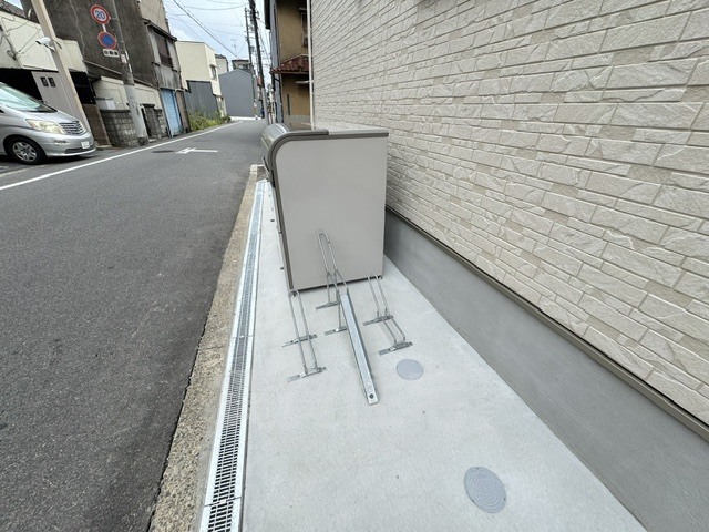 F asecia copperのその他写真