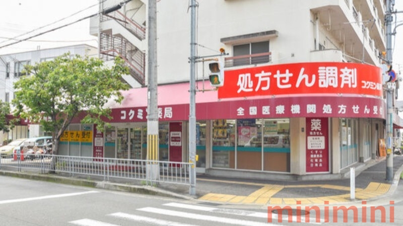 ドラックストア　コクミン薬局高槻店（ドラッグストア）まで2549m