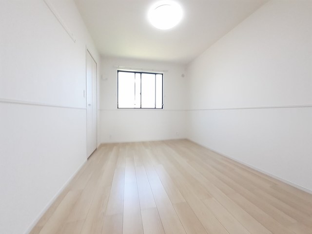 HaLuのその他写真