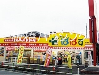 ドラックストア　どらっぐぱぱす板橋徳丸店（ドラッグストア）まで532m