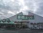 スーパー　業務スーパー野路店（スーパー）まで500m