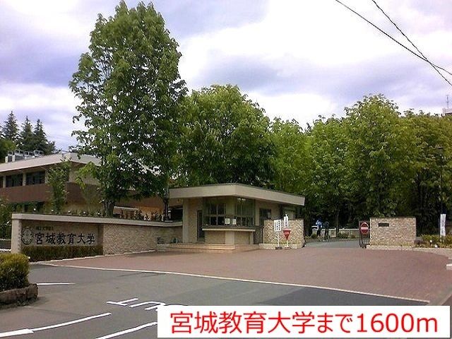 【コリーヌ　Ａの大学・短大】