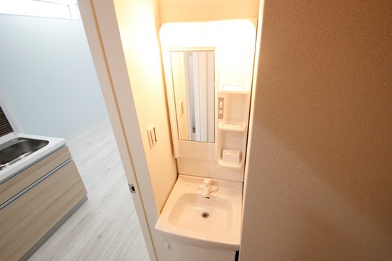 洗面設備　※別号室のお写真です