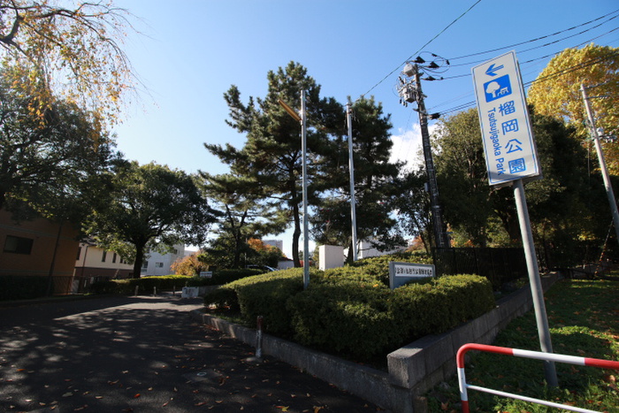 公園　榴岡公園（公園）まで300m