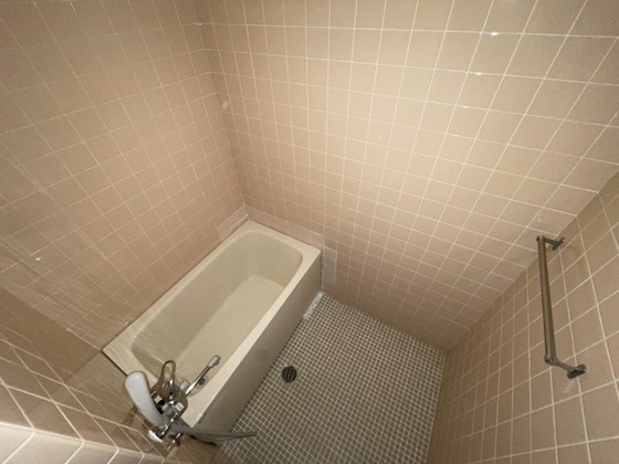 バス・シャワールーム　※別部屋の写真です