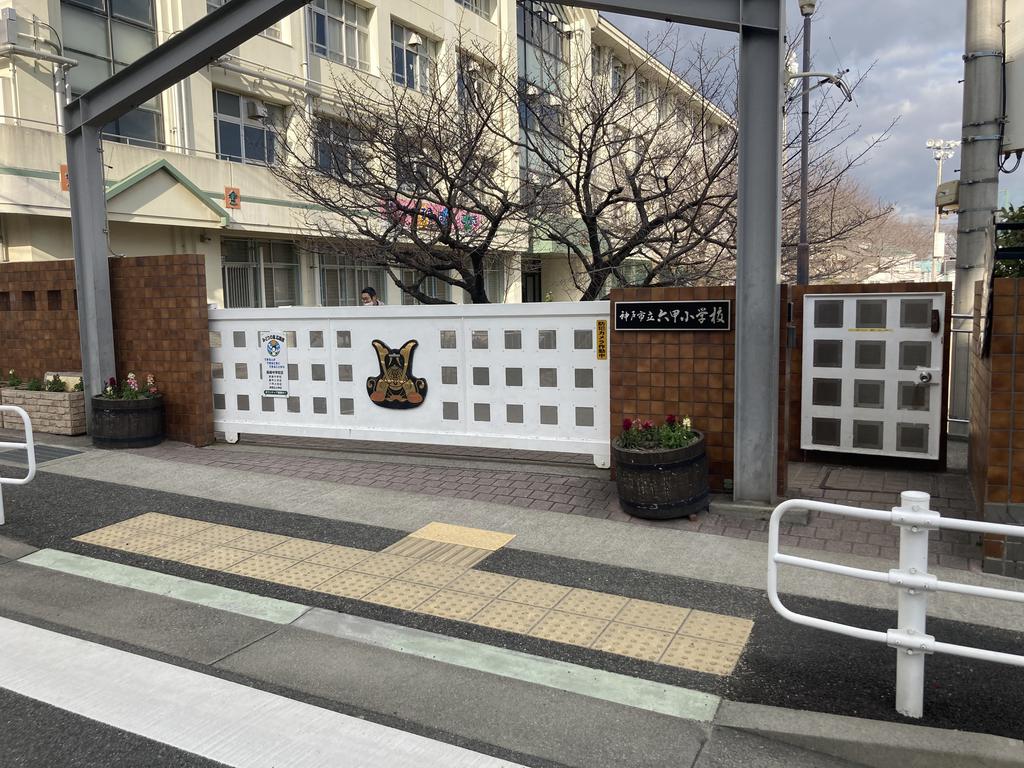 小学校　神戸市立六甲小学校（小学校）まで337m