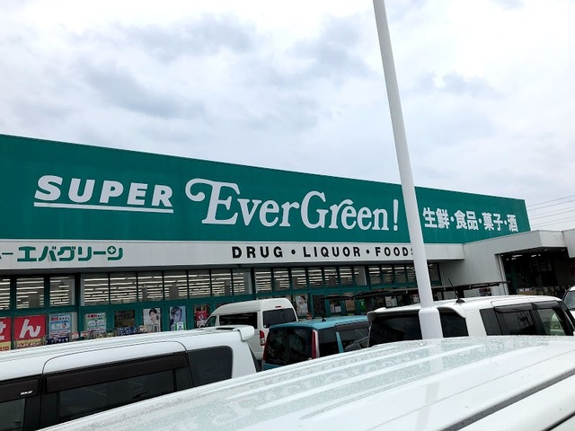 ドラックストア　スーパーエバグリーン四ヶ郷店（ドラッグストア）まで842m