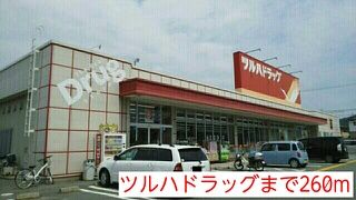 ドラックストア　ツルハドラッグ（ドラッグストア）まで260m