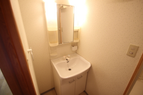 洗面設備　※別号室の写真です。