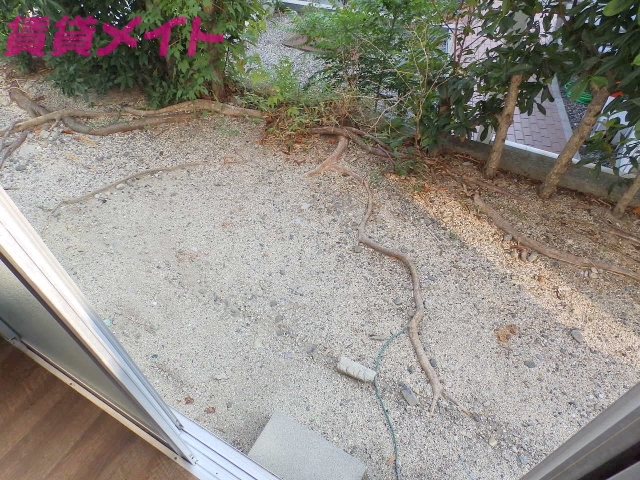 庭　同物件別部屋の物です。