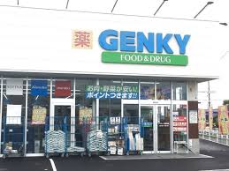 ドラックストア　ゲンキー妙興寺店（ドラッグストア）まで1101m