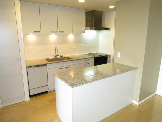 キッチン　カウンターキッチン