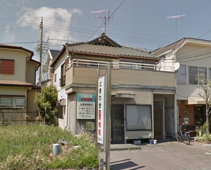 病院　ときわ台動物病院（病院）まで995m