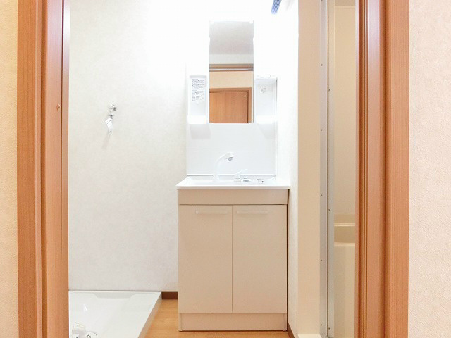 洗面設備　収納機能も兼ね備えたシャワードレッサー。