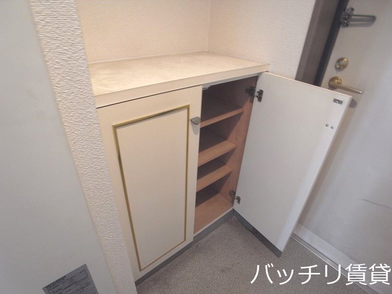玄関　＊画像は別部屋の為、現状を優先致します