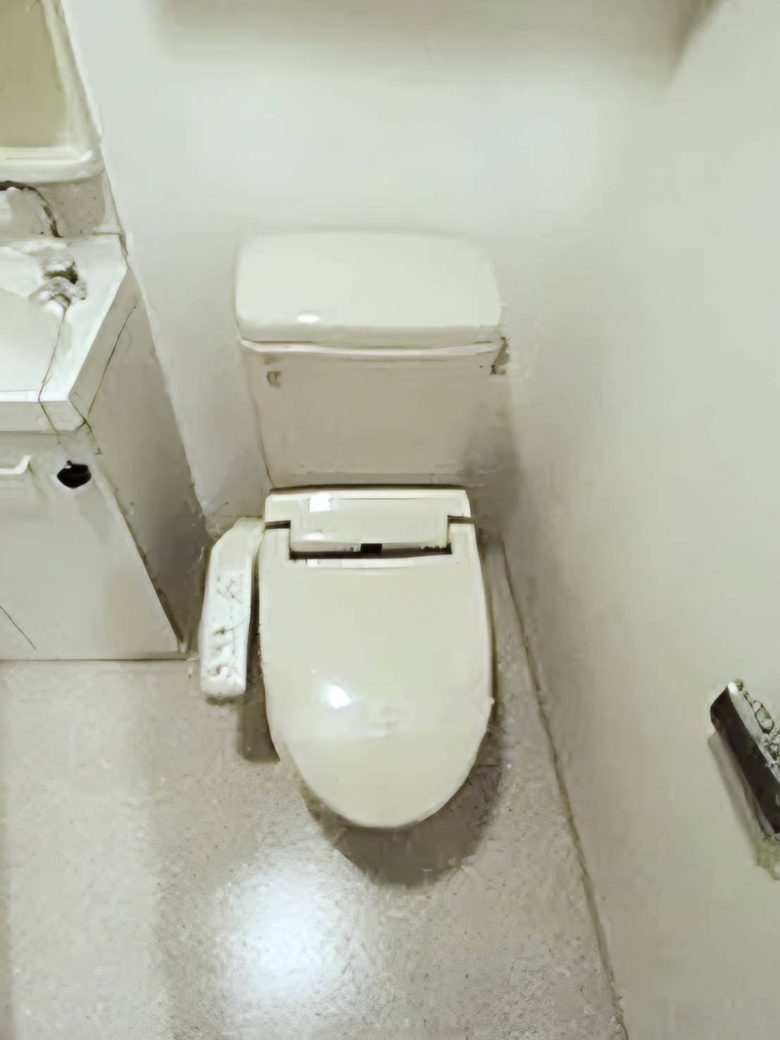 トイレ　トイレ