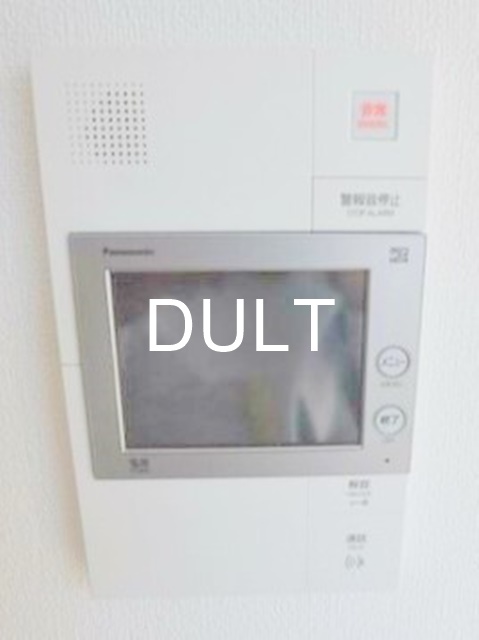 セキュリティ　モニター付きインターホンです。