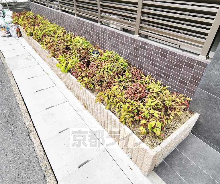 庭
