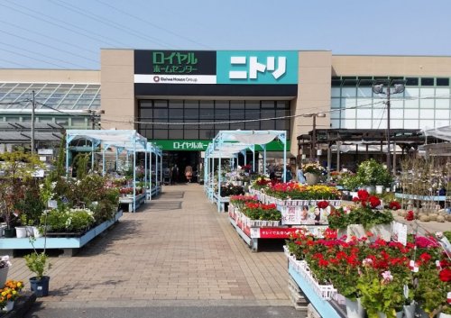 ホームセンター　ロイヤルホームセンター 押熊（ホームセンター）まで546m