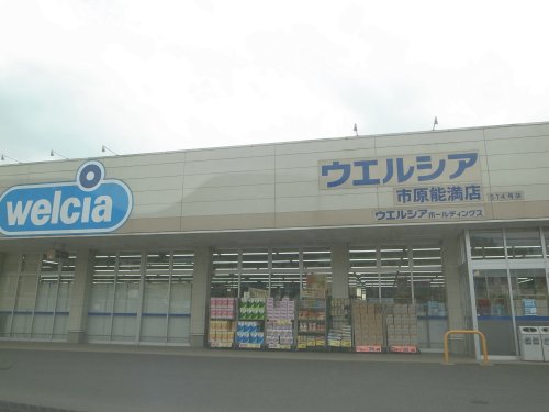 ドラックストア　ウエルシア市原能満店（ドラッグストア）まで968m