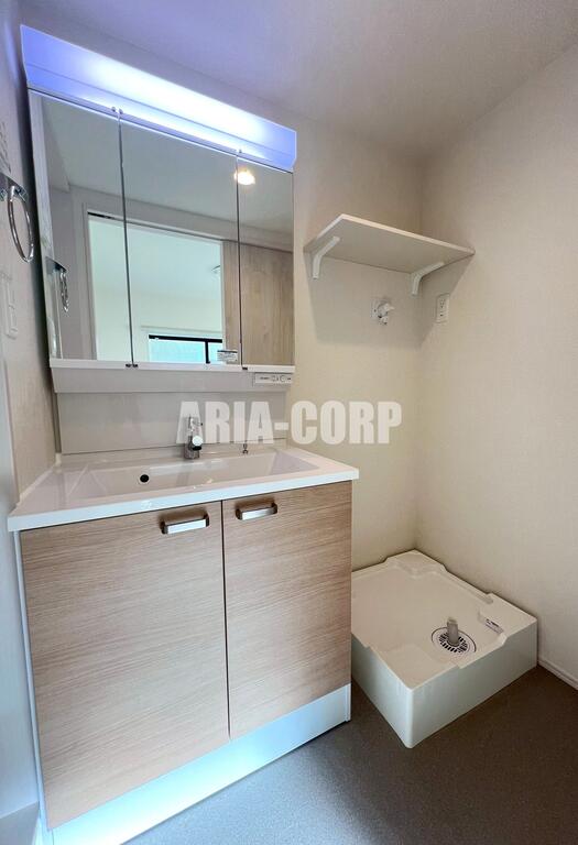 洗面設備　独立洗面台、嬉しい三面鏡でシャワーヘッド付きです♪