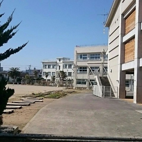 小学校　高知市立潮江東小学校（小学校）まで162m
