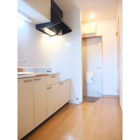 玄関　※別号室の写真です