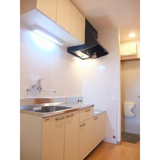 キッチン　※別号室の写真です