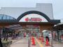 スーパー　スーパーマーケットKINSHO　東湊店（スーパー）まで537m