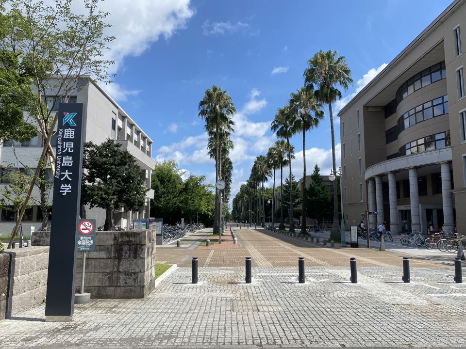 大学・短大　鹿児島大学工学部（大学・短大）まで687m