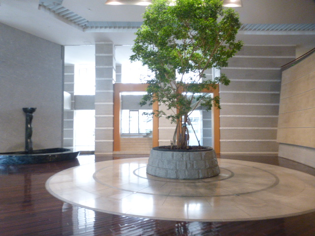 ロビー　ロビー